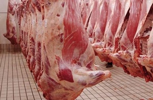 viande bovine